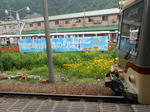 20150622e.JPG