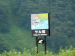 20150625h.JPG