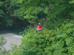 20150626b.JPG