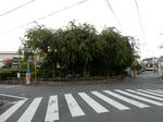 20150909a.JPG