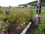 20150918i.JPG