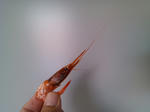 20150921d.JPG