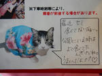 20150930a.JPG