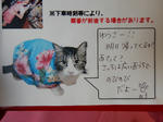 20151004a.JPG
