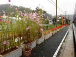 20151215a.JPG