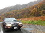20160116e.JPG