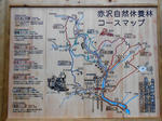 20160116h.JPG