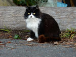 20160209f.JPG