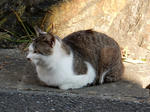 20160209i.JPG