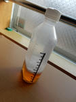 20160209j.JPG