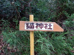 20160210f.JPG