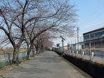 20160409h.JPG