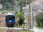 20160409i.JPG