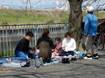 20160410e.JPG