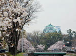 20160420a.JPG