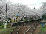20160428e.JPG