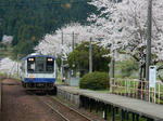 20160428h.JPG