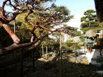 20160508h.JPG