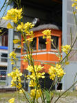 20160513e.JPG