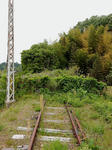 20160528j.JPG
