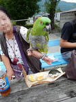 20160822j.JPG