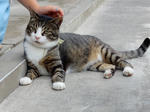 20160905h.JPG