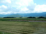 20161025h.JPG