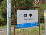 20161110i.JPG