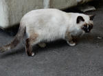 20161125j.JPG