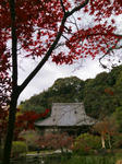 20161130i.JPG