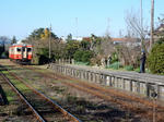20161217d.JPG