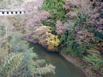 20161222e.JPG