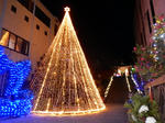 20161224a.JPG