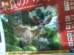 20170121a.JPG