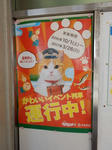 20170204e.JPG
