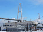 20170205a.JPG