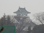 20170221e.JPG