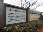 20170221h.JPG