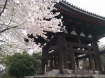 20170411b.JPG