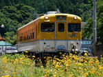20170619f.JPG