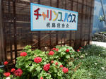 20170715f.JPG