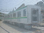 20170810j.JPG