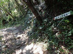 20170911e.JPG