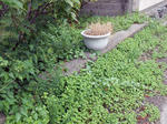 20170914g.JPG