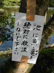 20170918i.JPG