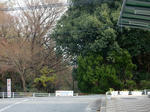 20180117g.JPG