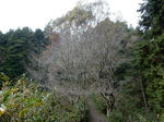 20180119h.JPG