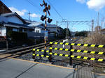 20180312f.JPG