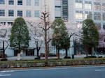 20180403f.JPG