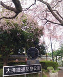 20180407b.JPG